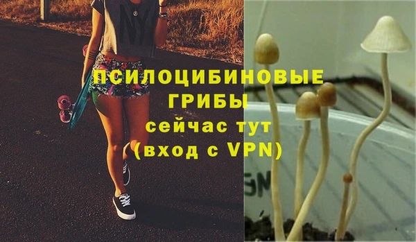 дживик Верея