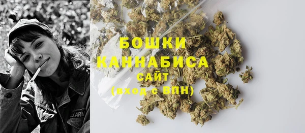 дживик Верея