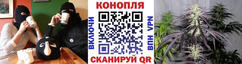 Купить где  Лобня  Шишки марихуана Amnesia 